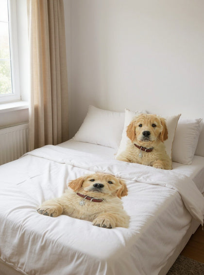 Housse de couette
