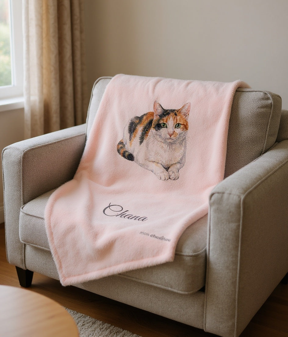 Couverture chat sur canapé